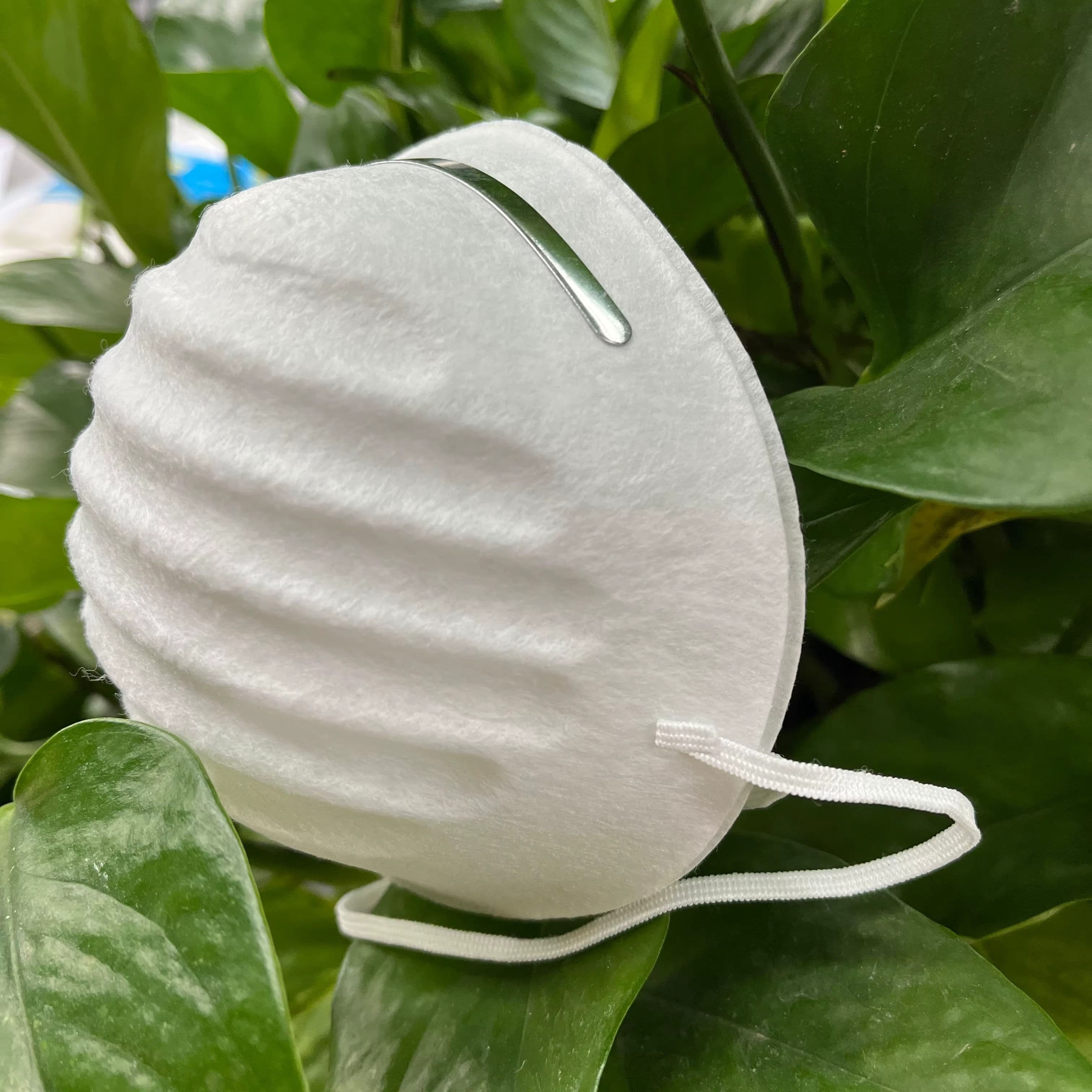 Disposable Dust Masks 2