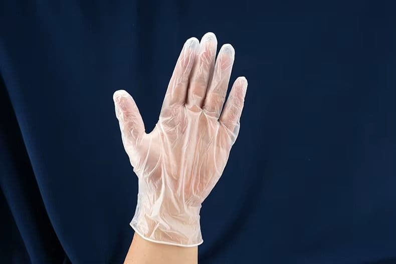 Disposable Vinyl Gloves thumbnail 6